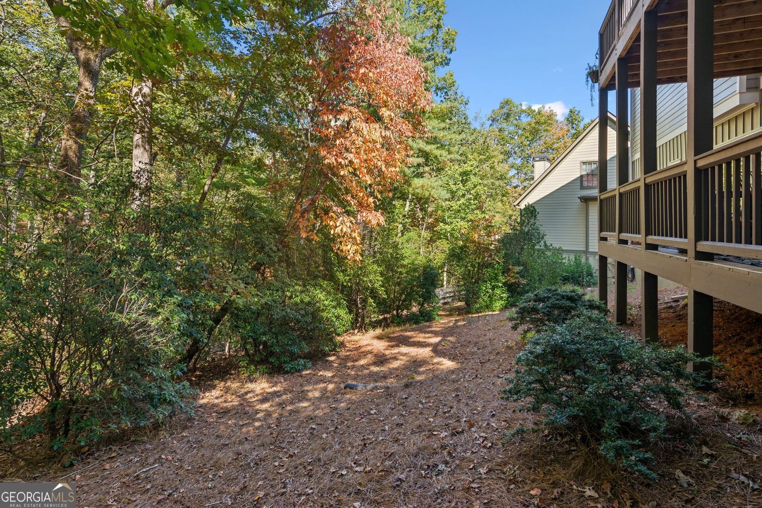 BIG CANOE - Residential