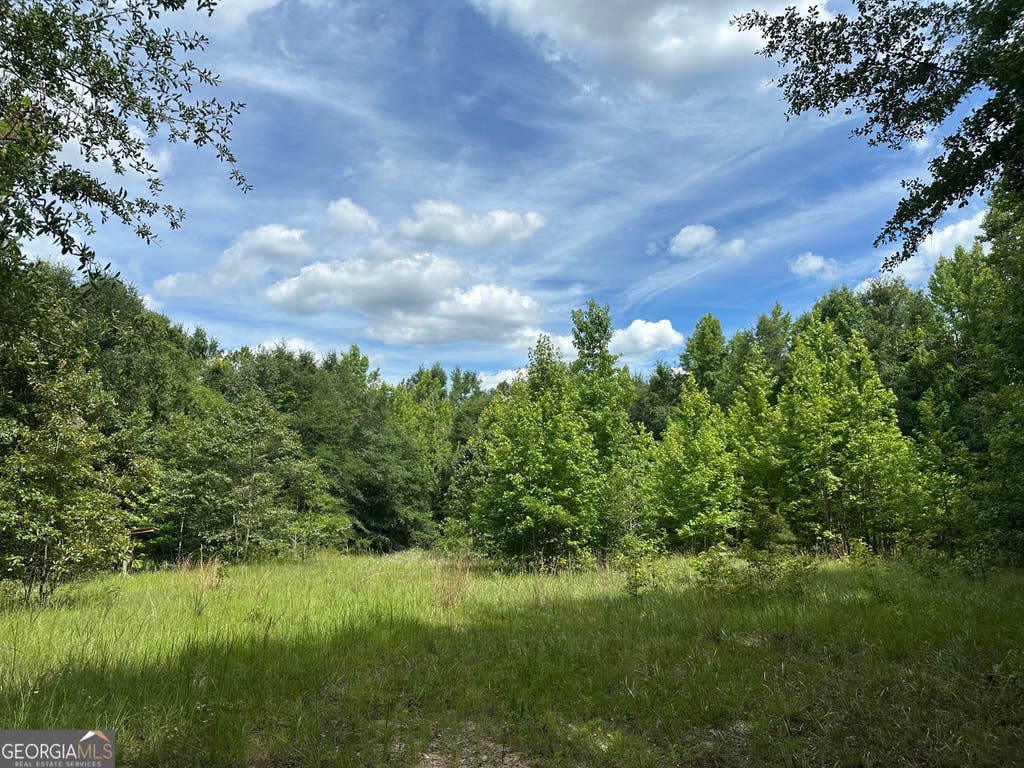 Photo of 699 GA Highway 96, Irwinton, GA 31042 (MLS # 10794925)