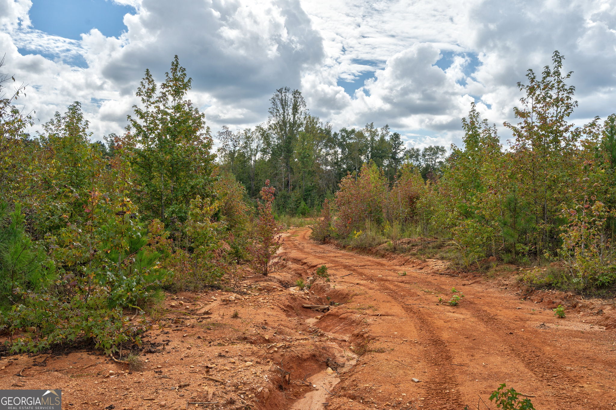 0 Old Salem Rd Tract 2, 3, 4