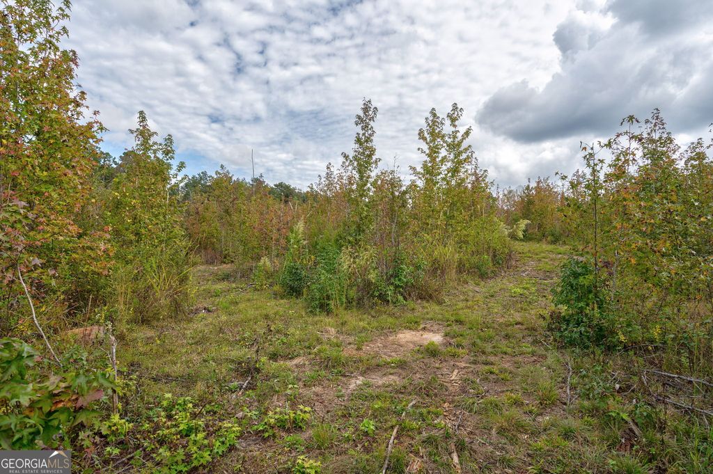 Photo of 0 Old Salem Rd Tract 2, 3, 4, Watkinsville, GA 30677 (MLS # 10774648)