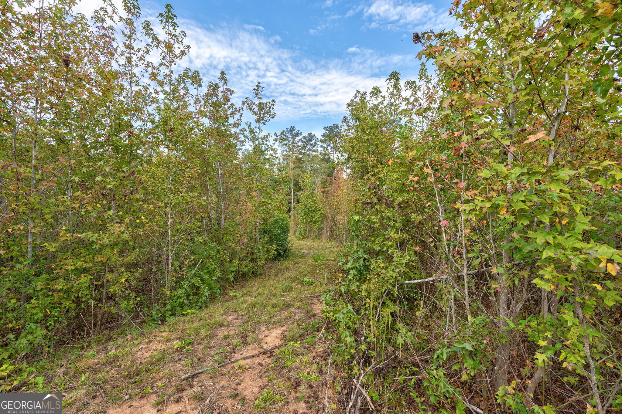 0 Old Salem Rd Tract 2, 3, 4