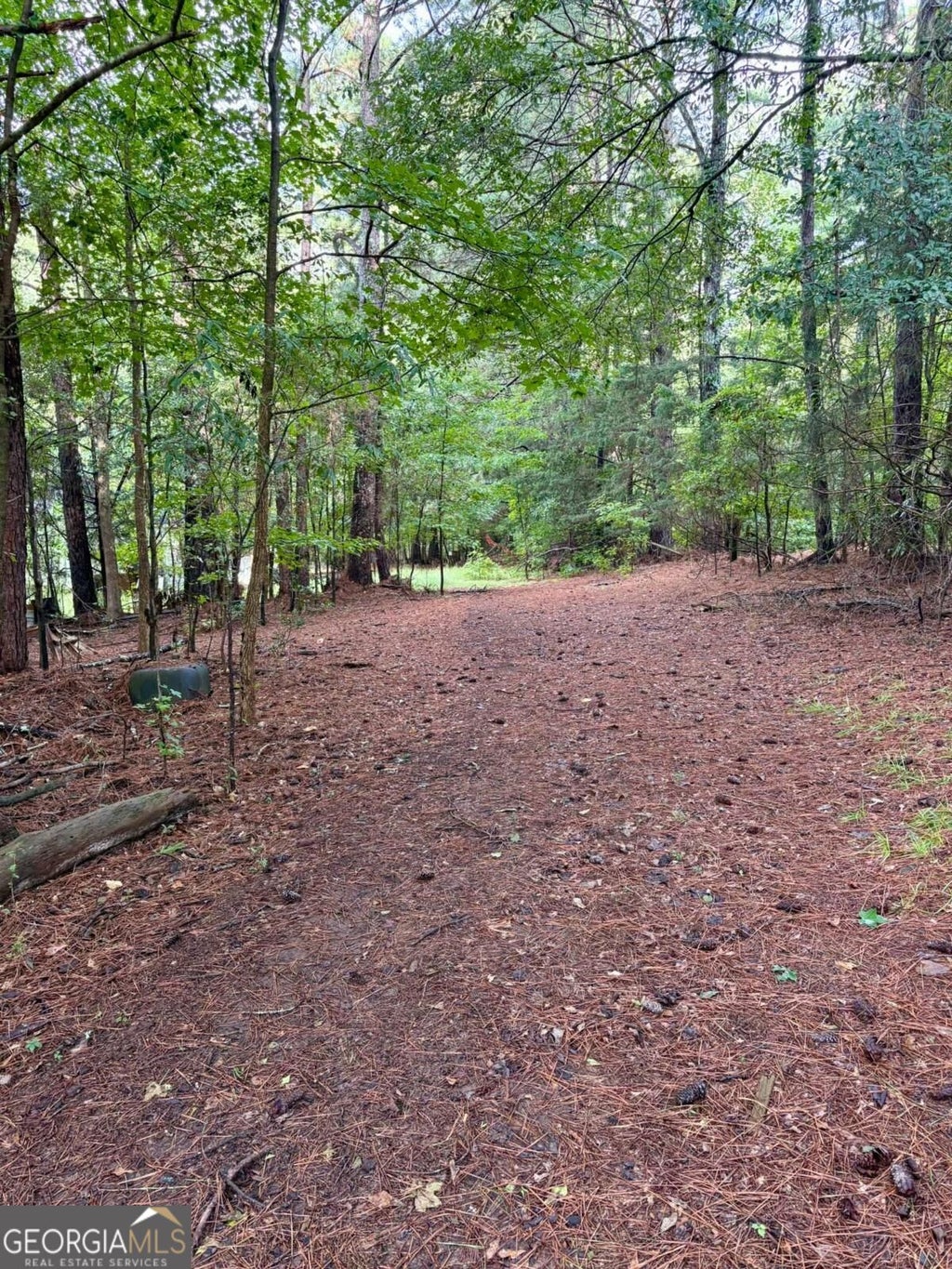 Photo of 0 Macon Highway, Athens, GA 30606 (MLS # 10855942)