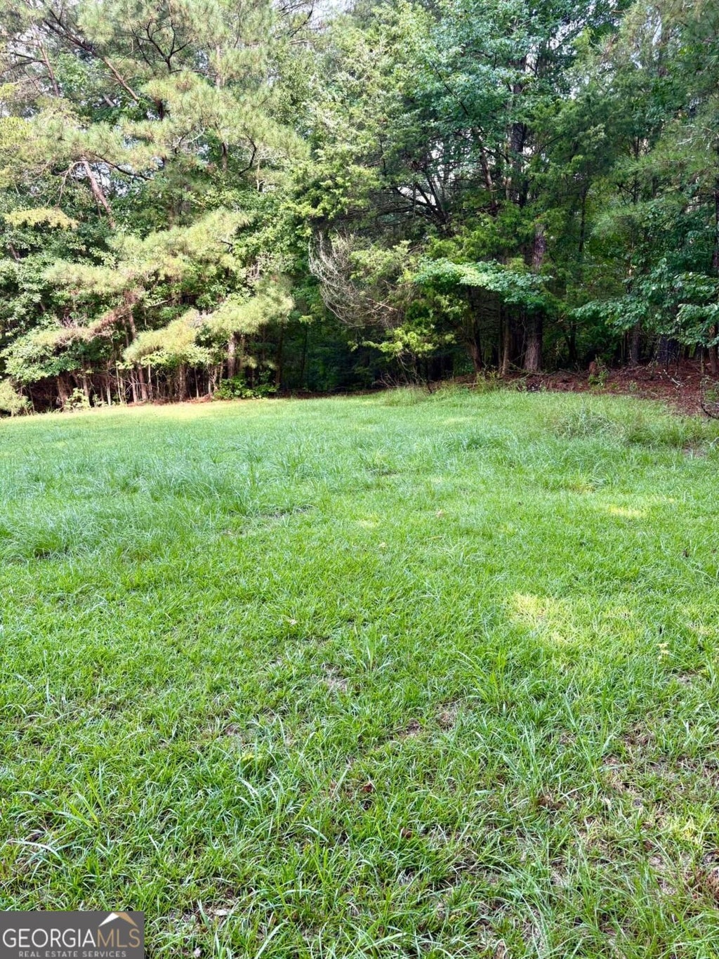 Photo of 0 Macon Highway, Athens, GA 30606 (MLS # 10855942)
