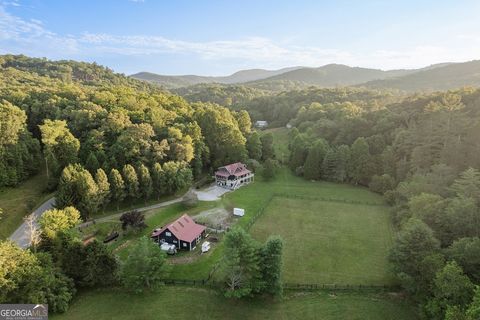 328 Black Ankle Creek RD Cherry Log GA 30522