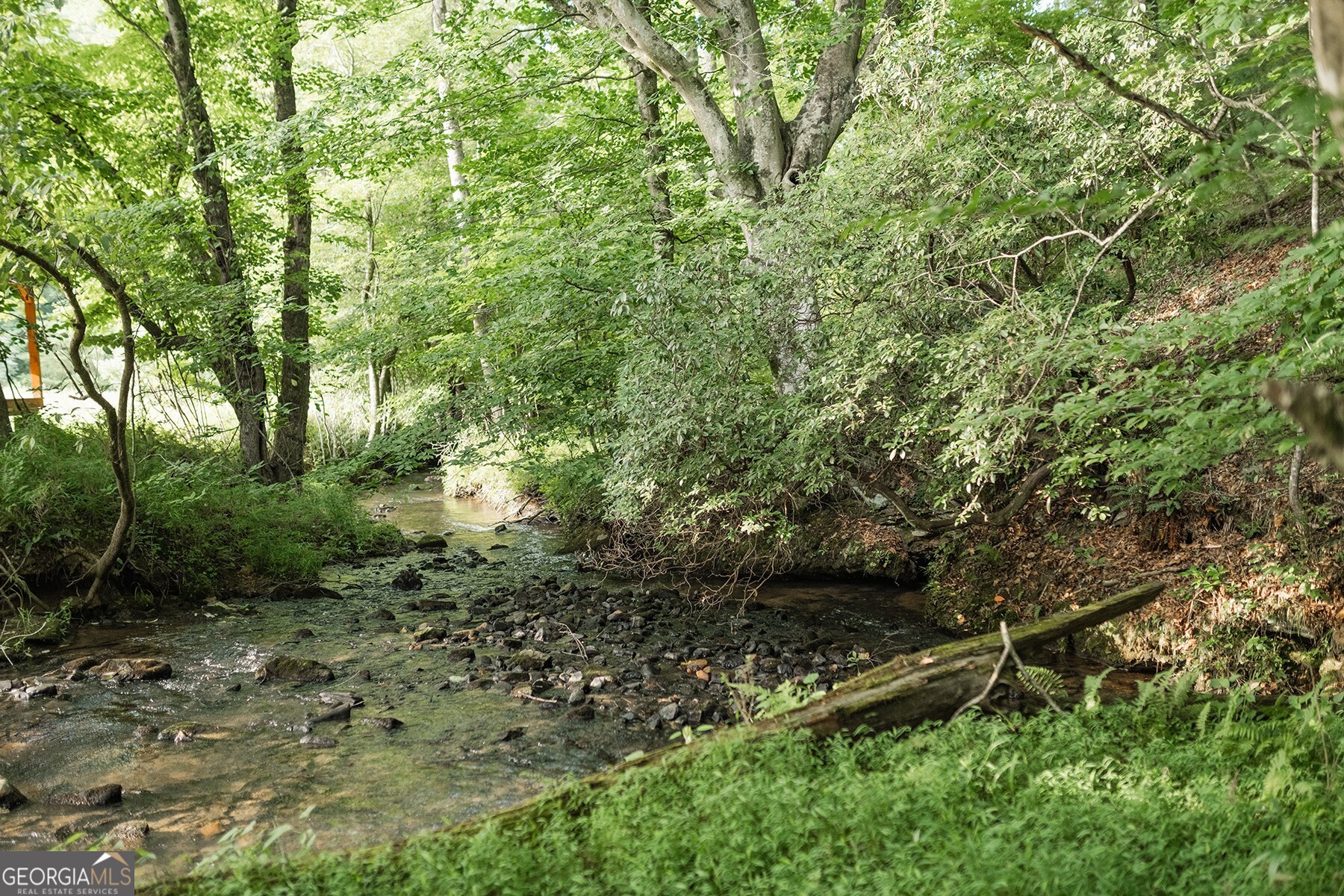 328 Black Ankle Creek RD