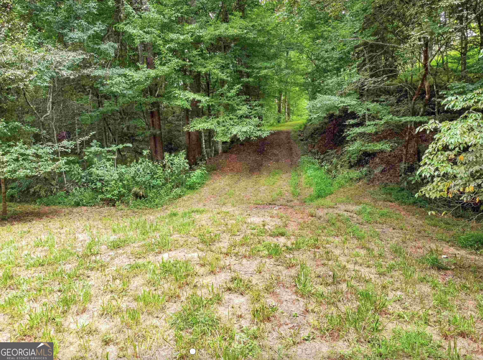 Cleveland, Georgia 30528, United States, ,Land,Active,151161