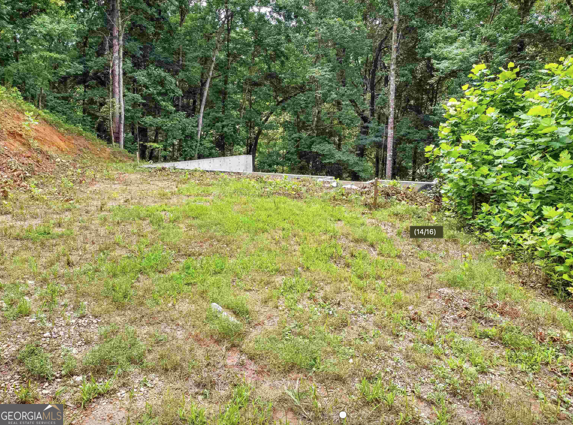 Cleveland, Georgia 30528, United States, ,Land,Active,151161