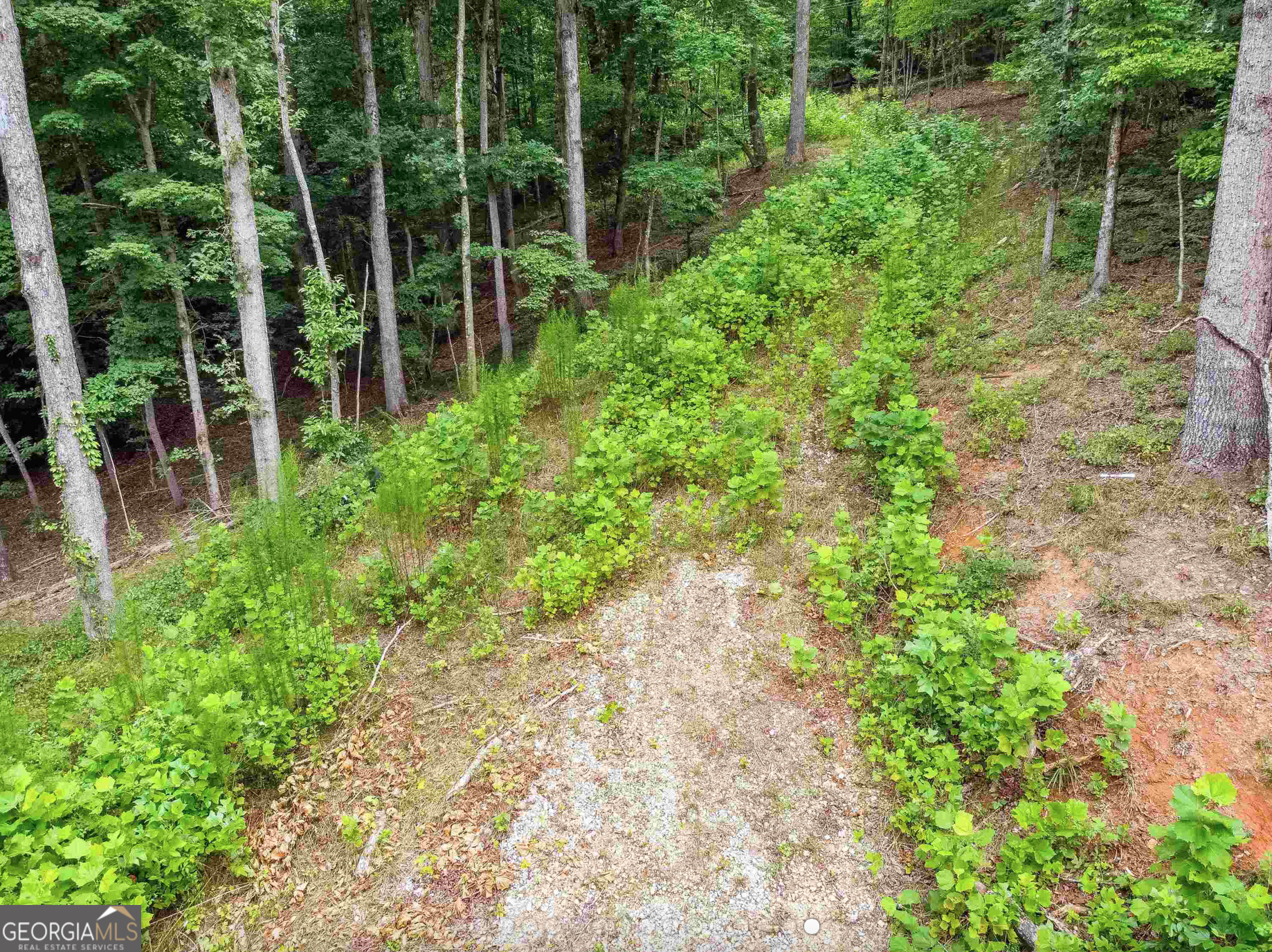 Cleveland, Georgia 30528, United States, ,Land,Active,151161