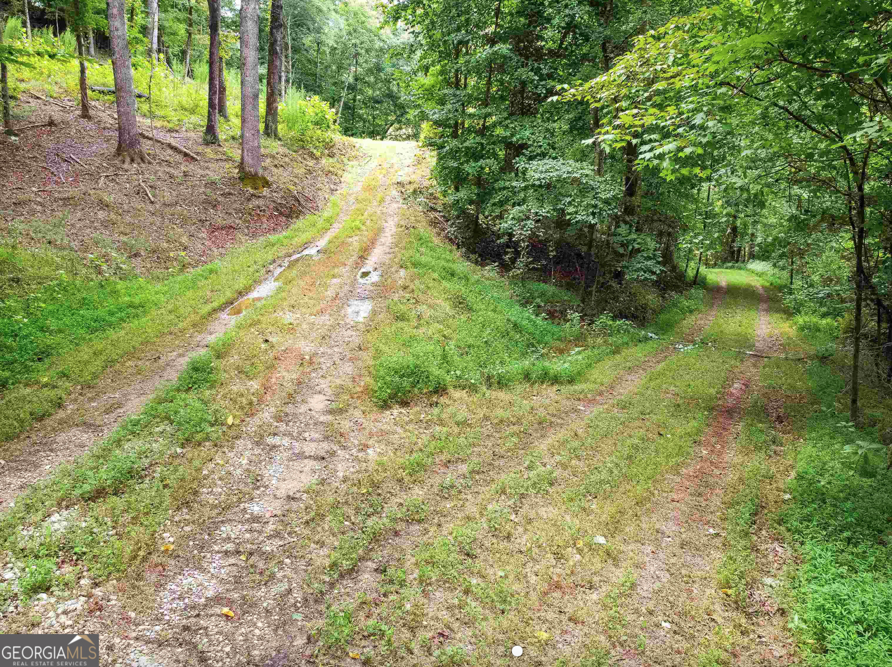 Cleveland, Georgia 30528, United States, ,Land,Active,151161