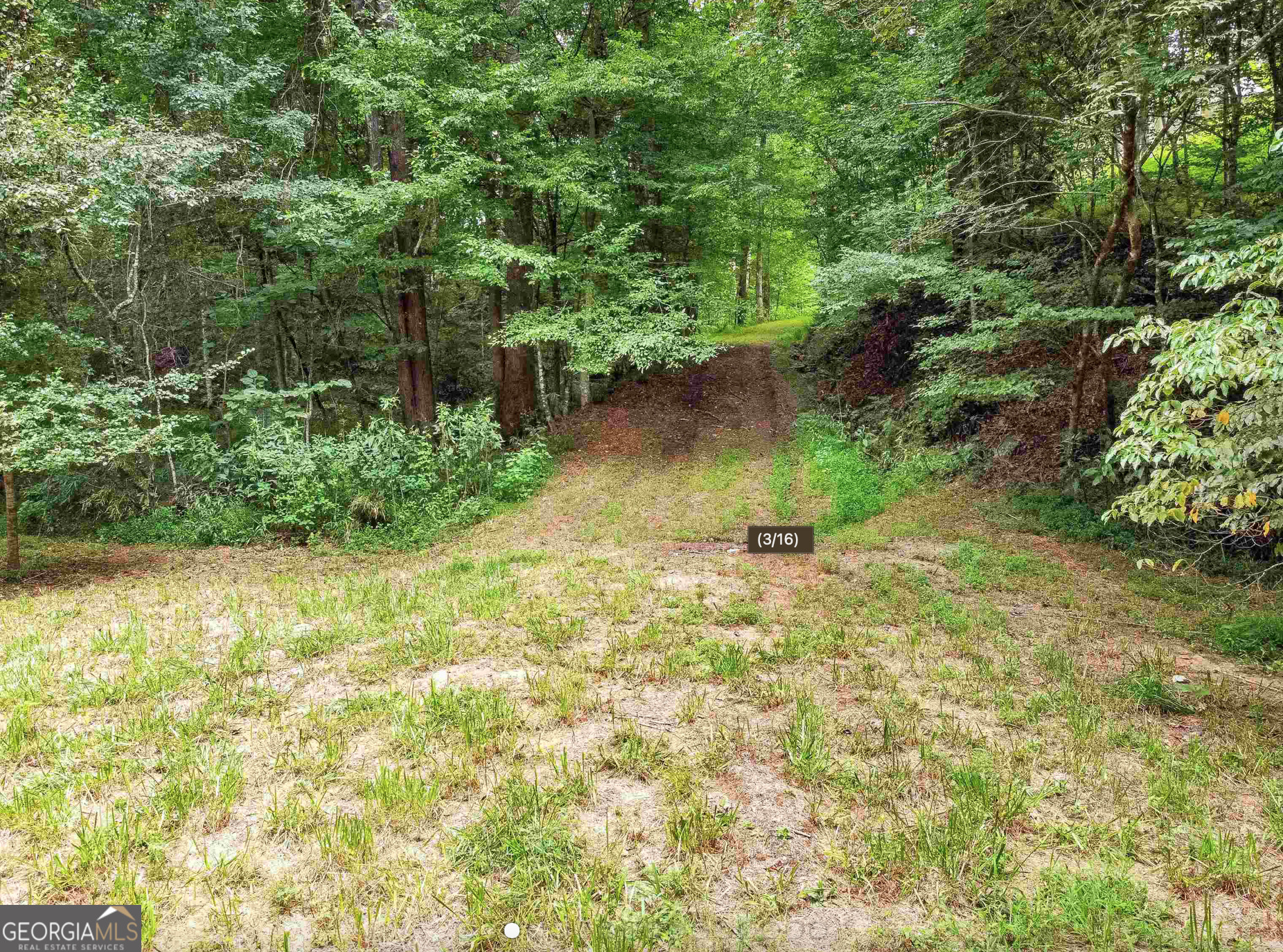 Cleveland, Georgia 30528, United States, ,Land,Active,151161