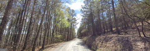 Photo of 0 Dry Pond Road, Ranger, GA 30734 (MLS # 10704263)