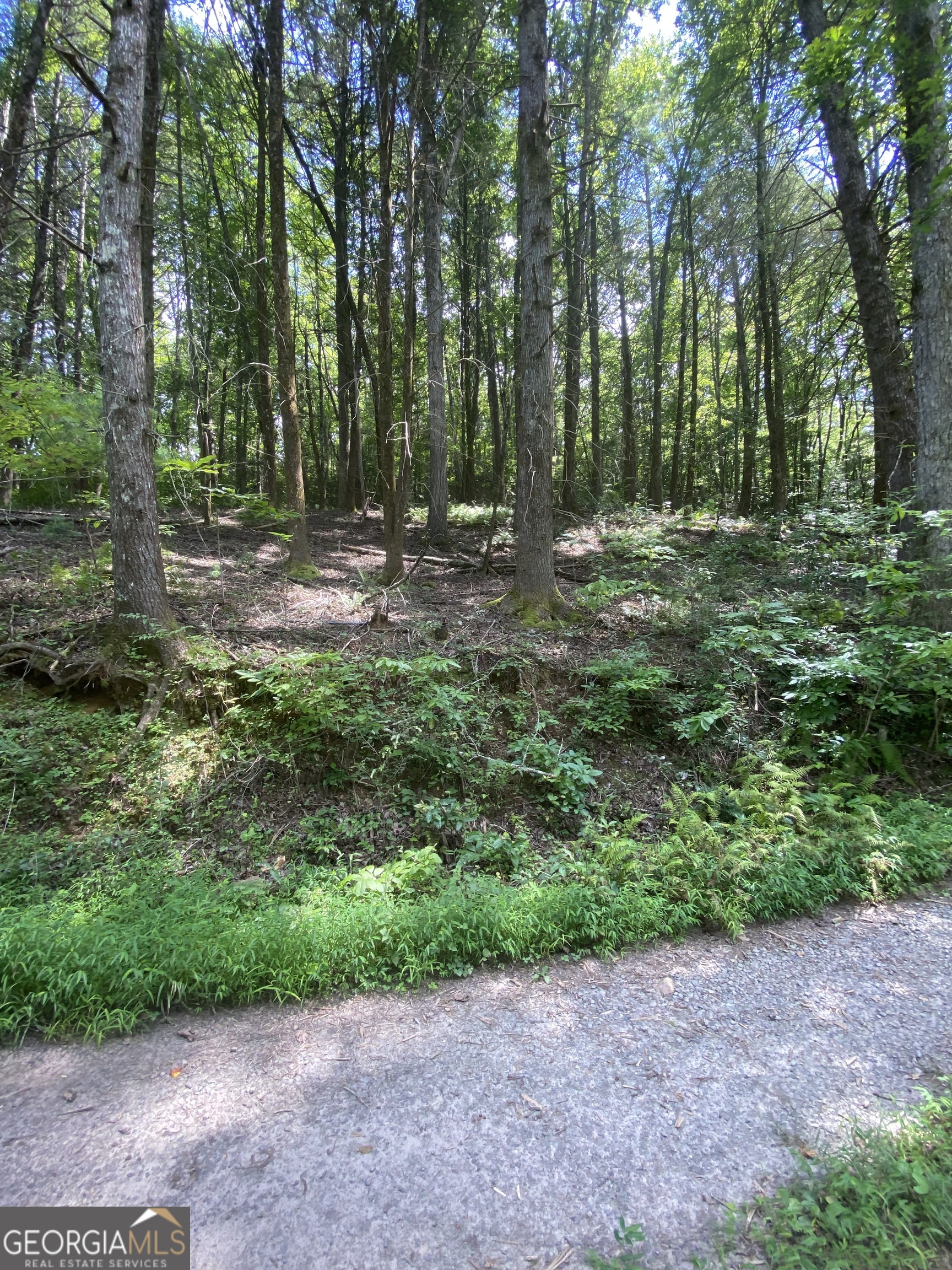Discover the perfect place to build your dream mountain home on this beautiful DOUBLE LOT located just across the street from the sparkling waters of Fightingtown Creek in the charming city of Blue Ridge. Enjoy the peaceful surroundings, breathtaking natural beauty, and the soothing sounds of the creek. Weather you're planning a vacation getaway or a full-time residence, this property offers ther ideal combination of tranquility and convenience.