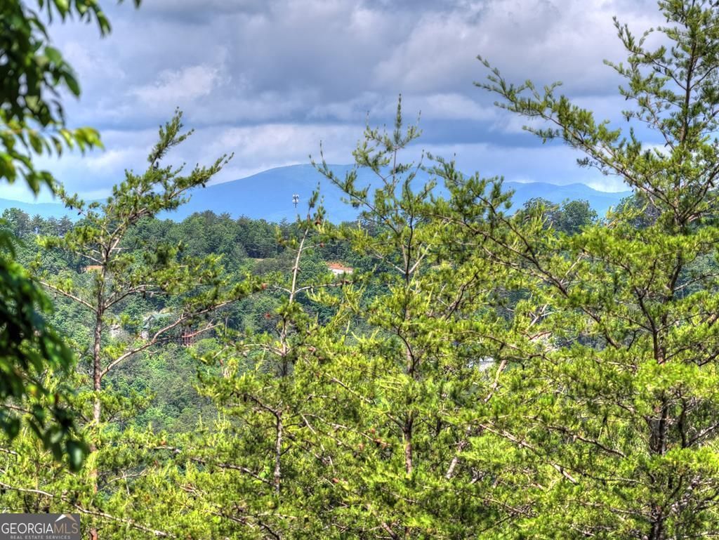 Photo of 309 Katydid Road, Mineral Bluff, GA 30559 (MLS # 10782024)