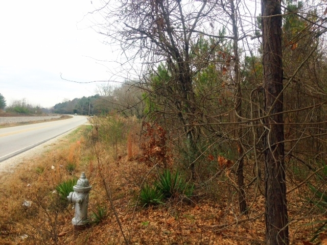 Prime location just south of Atlanta. Beautiful hardwoods and pecan trees. Perfect for one or several executive homes or subdivision development. Convenient to Atlanta Motor Speedway, McDonough, Highway 41 and I-75. Large tracts of land like this, near Metro ATL are not easy to find. Will consider owner financing to qualified buyer. Search "41+ Acres ready to develop..." to find the YouTube video and aerial views of the property and surrounding areas.