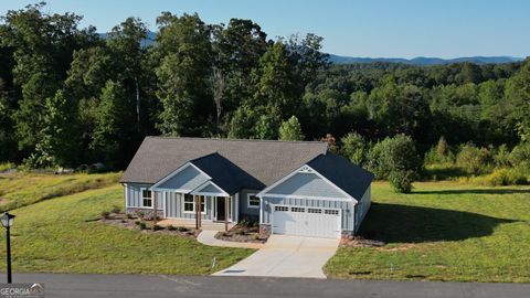 266 Hunts Ridge DR Cleveland GA 30528