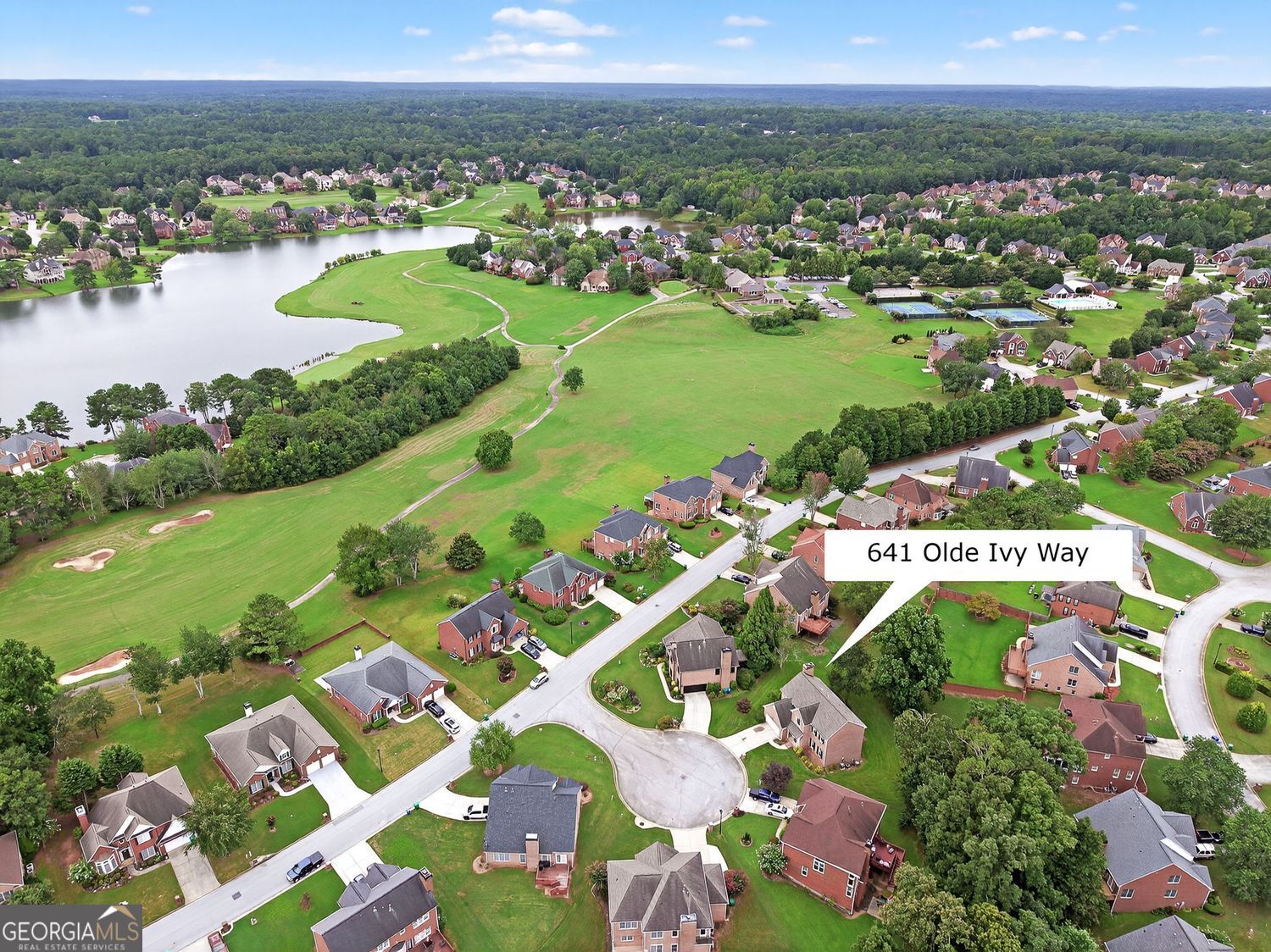 641 Olde Ivy WAY