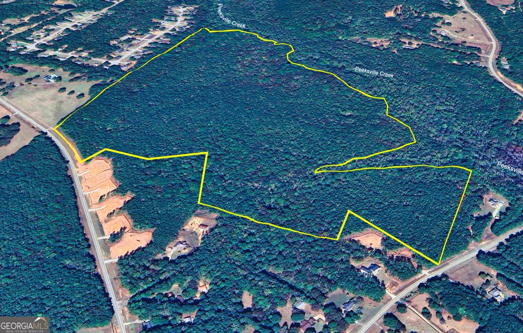 Photo of 0 New Hope Road, Locust Grove, GA 30248 (MLS # 10739152)