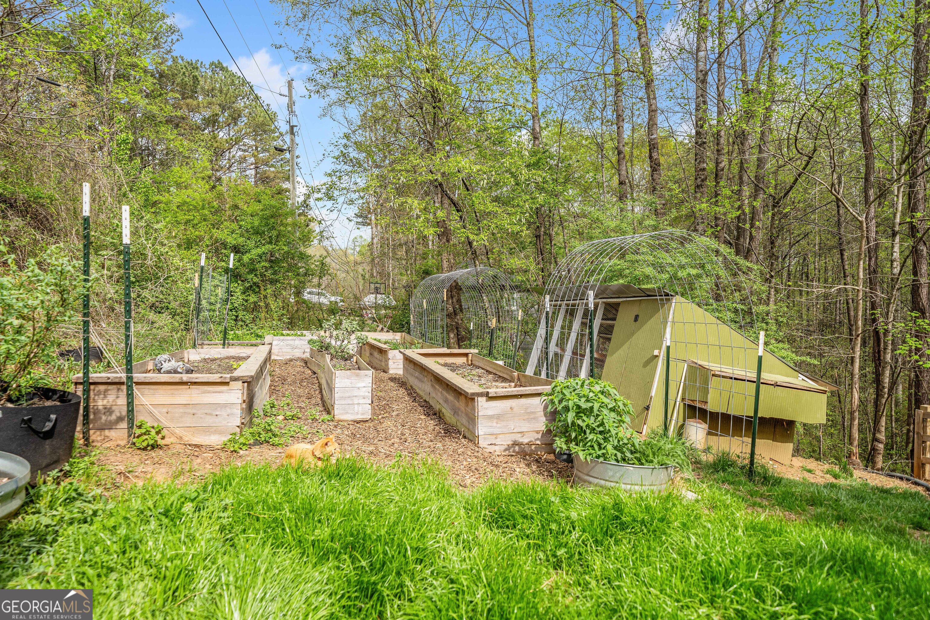 Ball Ground, Georgia 30107, United States, 3 Bedrooms Bedrooms, ,4 BathroomsBathrooms,Residential,Active,110379