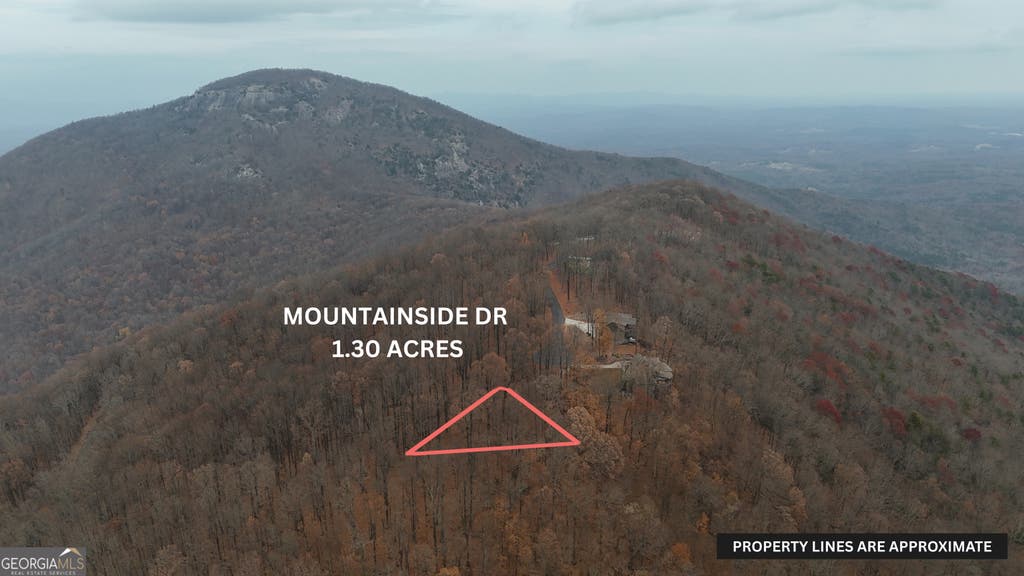 Photo of 11 Mountainside Drive, Cleveland, GA 30528 (MLS # 10832892)