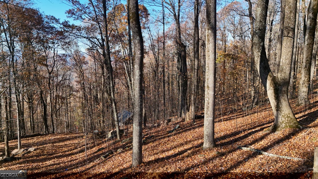Photo of 11 Mountainside Drive, Cleveland, GA 30528 (MLS # 10832892)