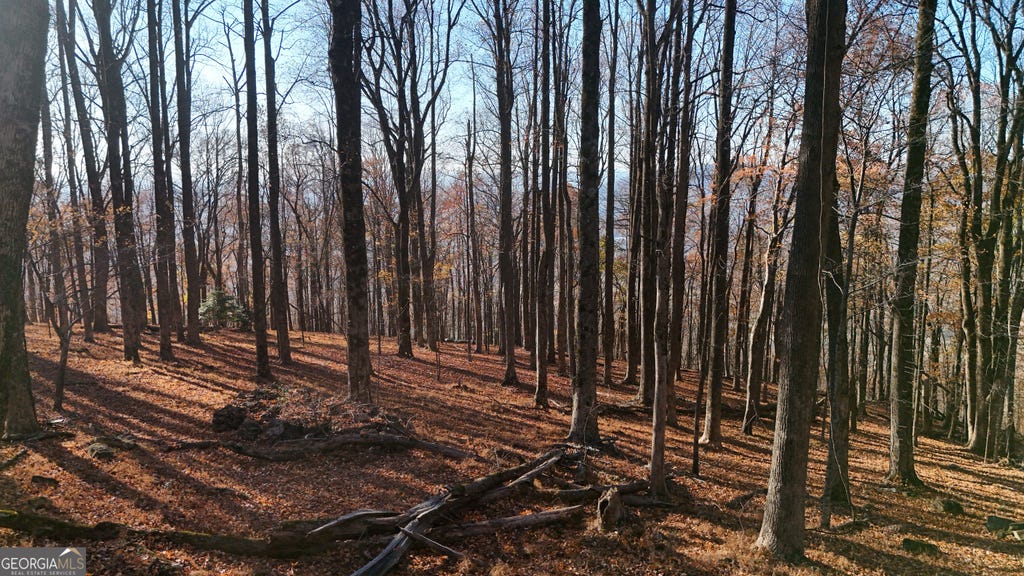 Photo of 11 Mountainside Drive, Cleveland, GA 30528 (MLS # 10832892)