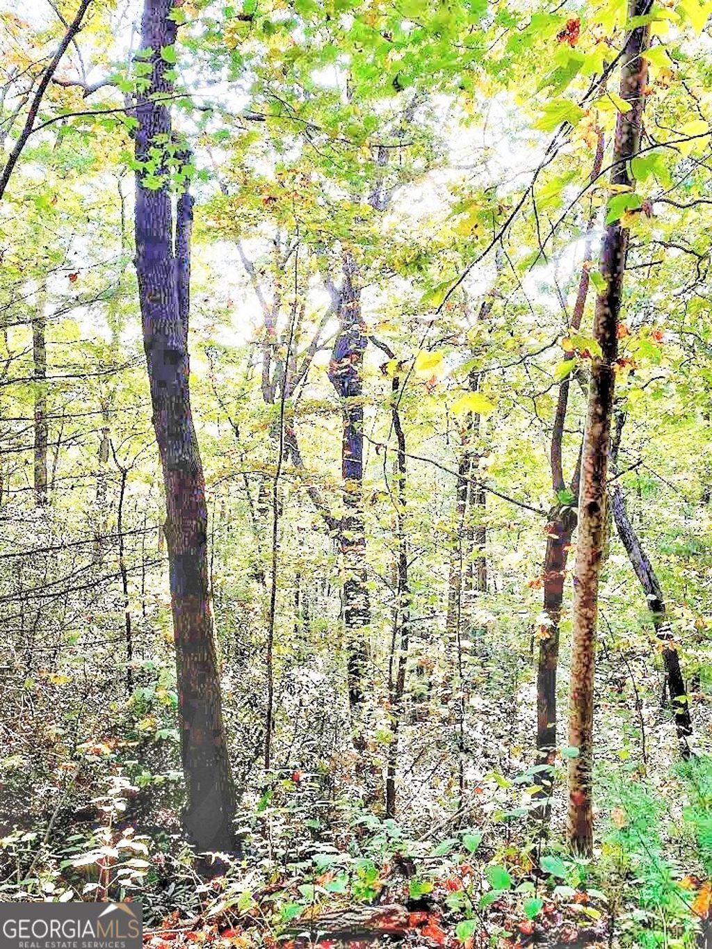 Photo of 0 Blue Ridge Gap Road, Rabun Gap, GA 30568 (MLS # 10679893)