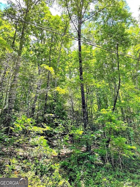 0 Blue Ridge Gap RD Rabun Gap GA 30568