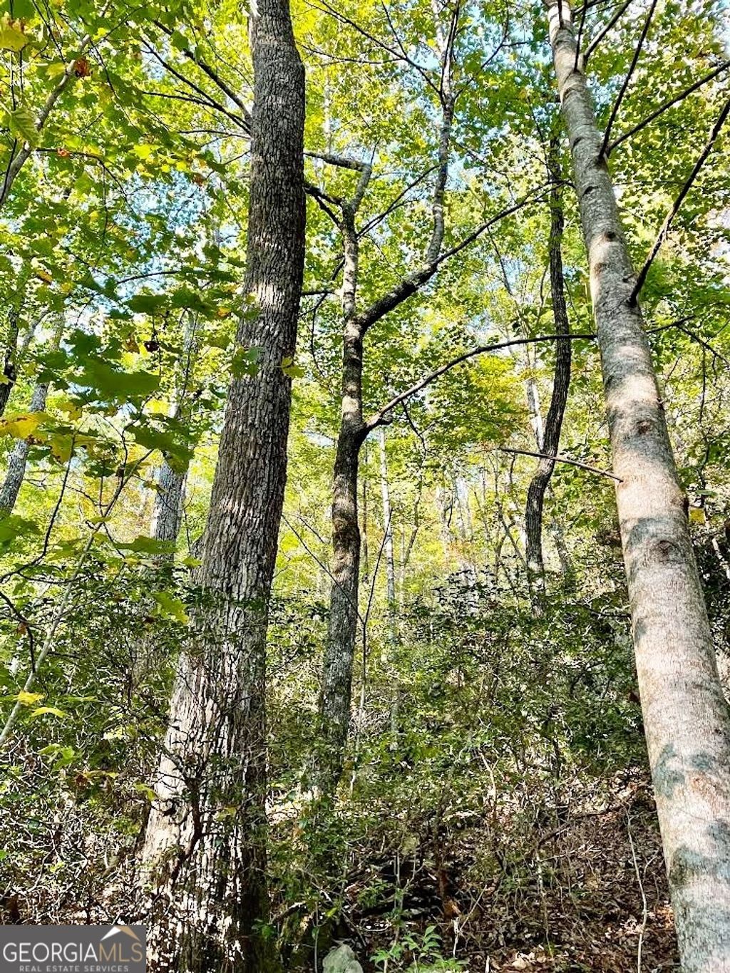 Photo of 0 Blue Ridge Gap Road, Rabun Gap, GA 30568 (MLS # 10679893)