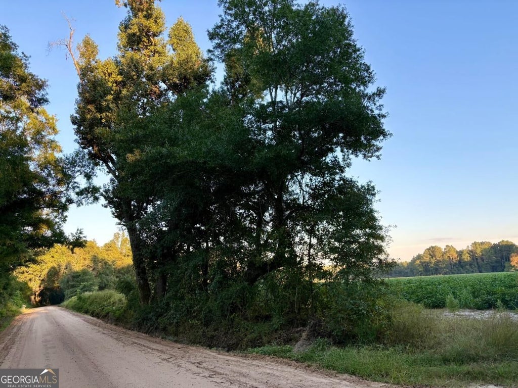 Photo of 0 Old Moore Road #3, Portal, GA 30450 (MLS # 10856049)
