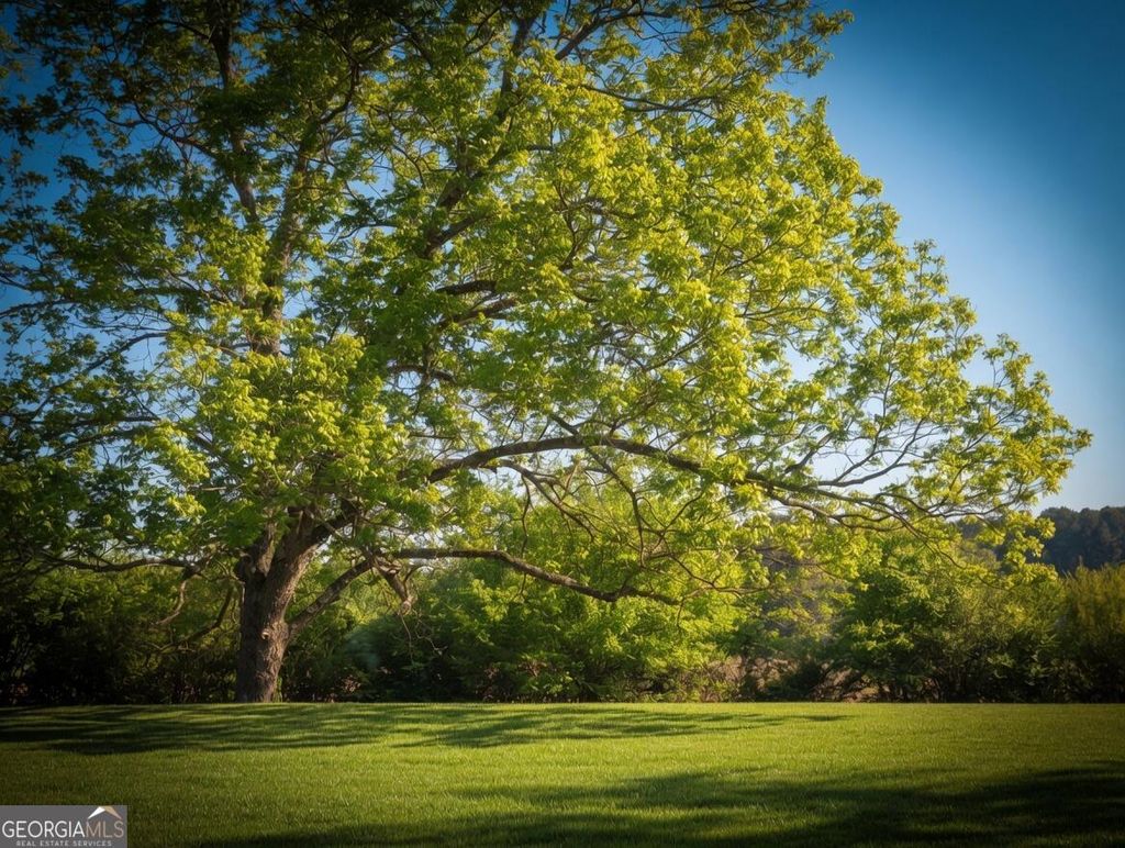 Photo of 0 S Dixie Highway, Resaca, GA 30735 (MLS # 10736514)