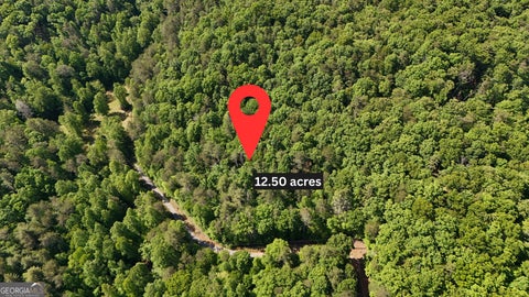 Photo of 0 Gold Springs Road, Cherry Log, GA 30522 (MLS # 10847510)