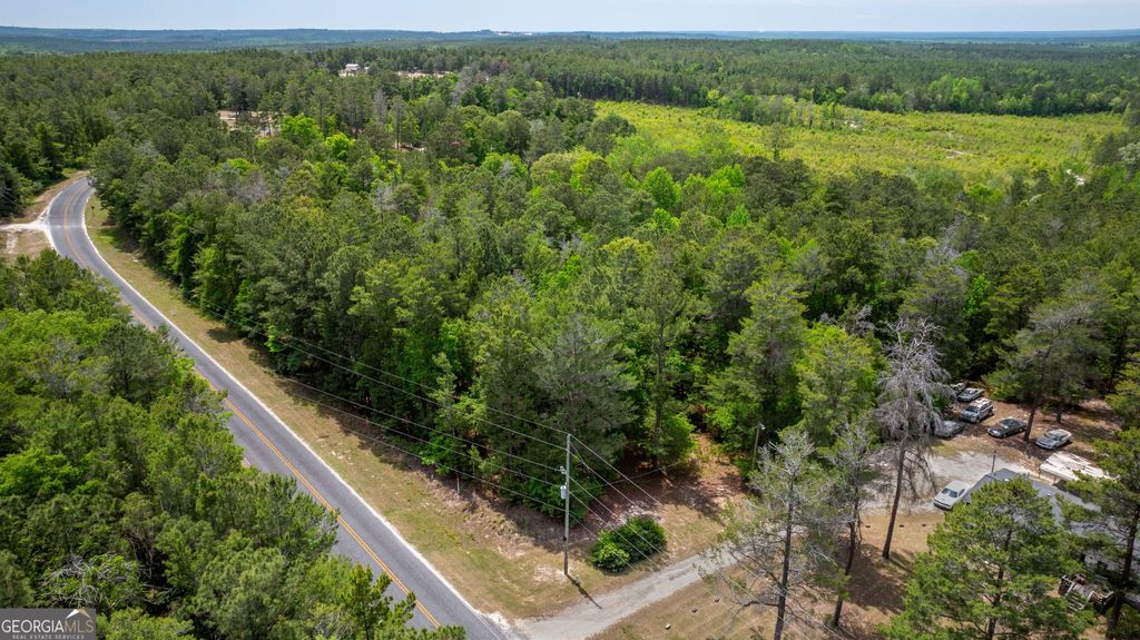 Photo of 99 Hortman Mill Road, Roberta, GA 31078 (MLS # 10741048)