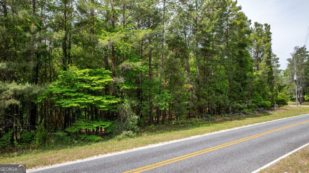 Photo of 99 Hortman Mill Road, Roberta, GA 31078 (MLS # 10741048)