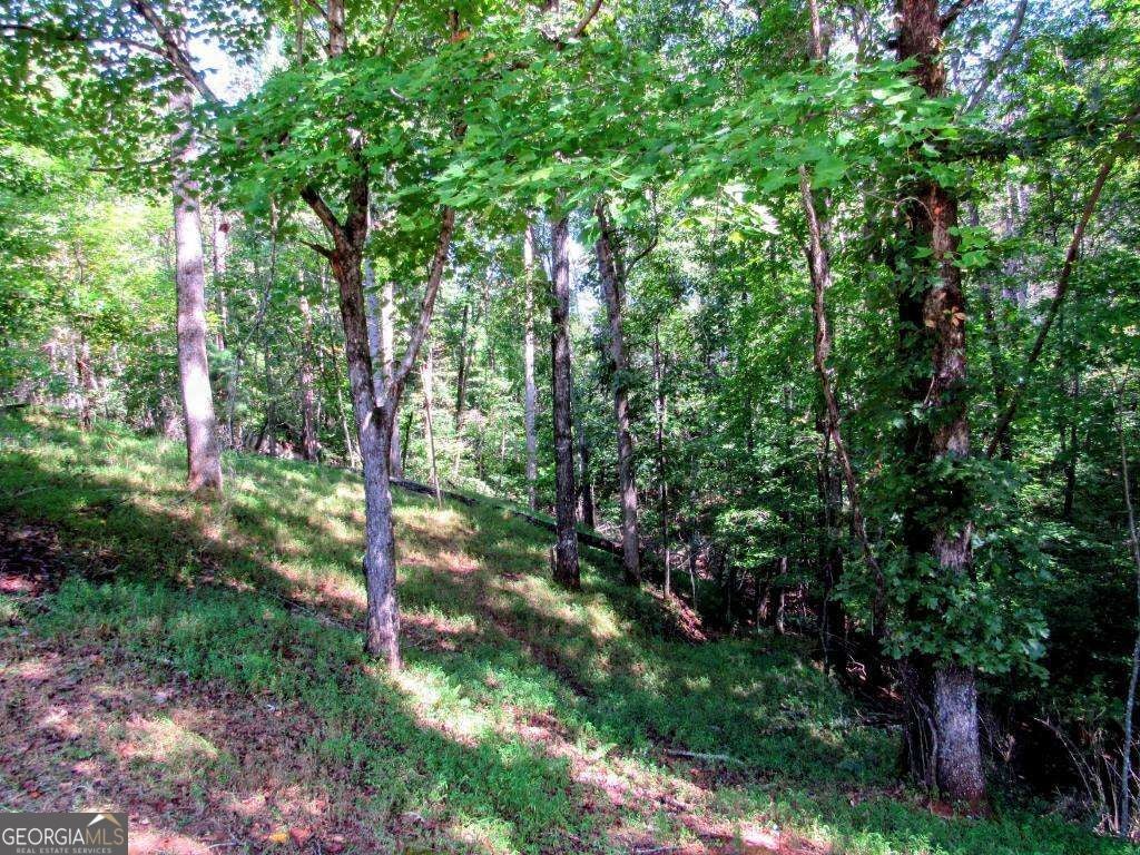 343 Hollybrook RD