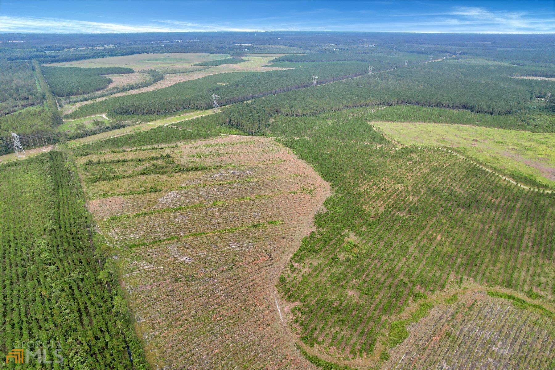 You determine the future for this beautiful acreage. Currently a mix of planted timber and agriculture fields, this large and level property has miles of visibility and access from US-341. This property could be used as a hunting property, home site with endless privacy, farming, or whatever your heart desires! Also on the property is an 8 inch well and 2 pivot systems. Land is in conservation until December 2025