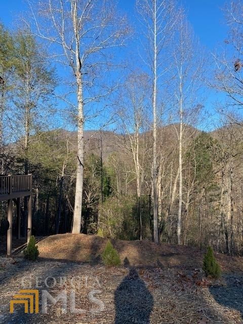 A home in Hiawassee