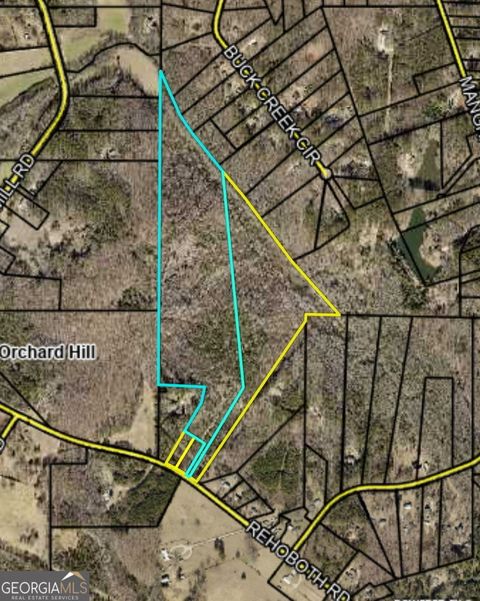 Photo of 2199 Rehoboth Road, Griffin, GA 30223 (MLS # 10648677)