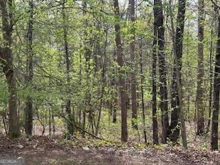 22 Blacksmith LN NW