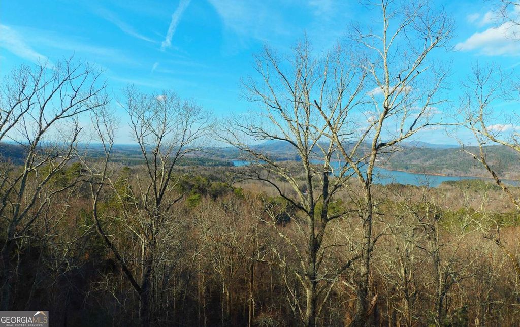 Photo of 325 Adair Drive, Ranger, GA 30734 (MLS # 10706937)