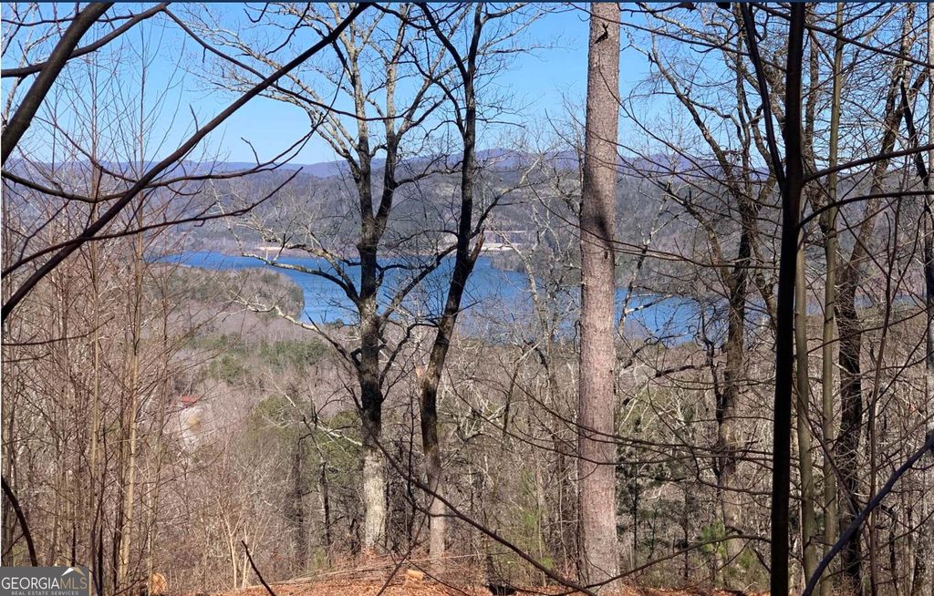 Photo of 325 Adair Drive, Ranger, GA 30734 (MLS # 10706937)