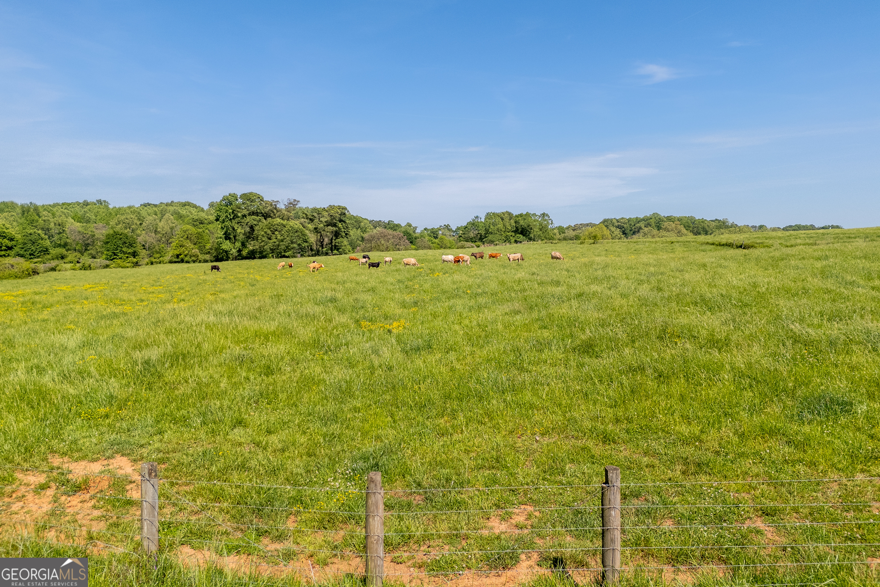 Carnesville, Georgia 30521, United States, ,Land,Active,12204