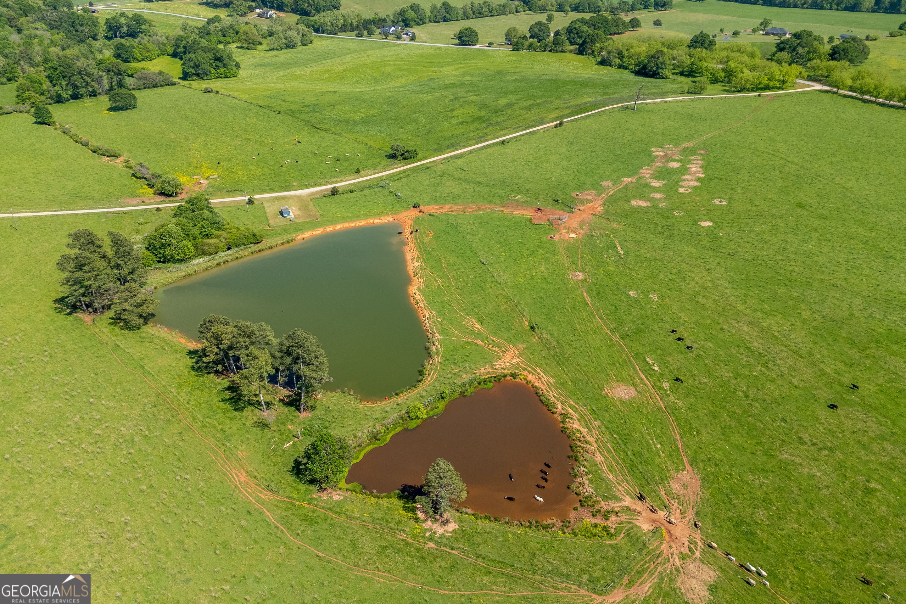 Carnesville, Georgia 30521, United States, ,Land,Active,12204