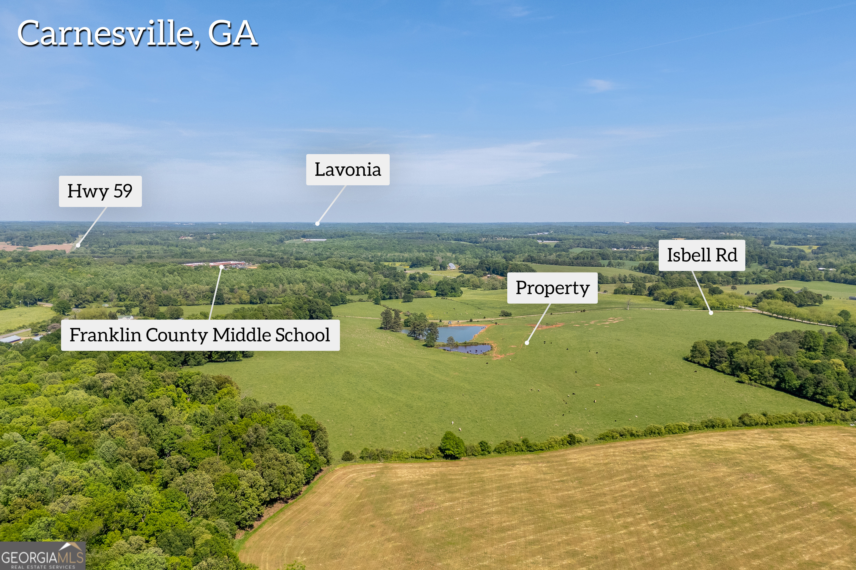 Carnesville, Georgia 30521, United States, ,Land,Active,12204