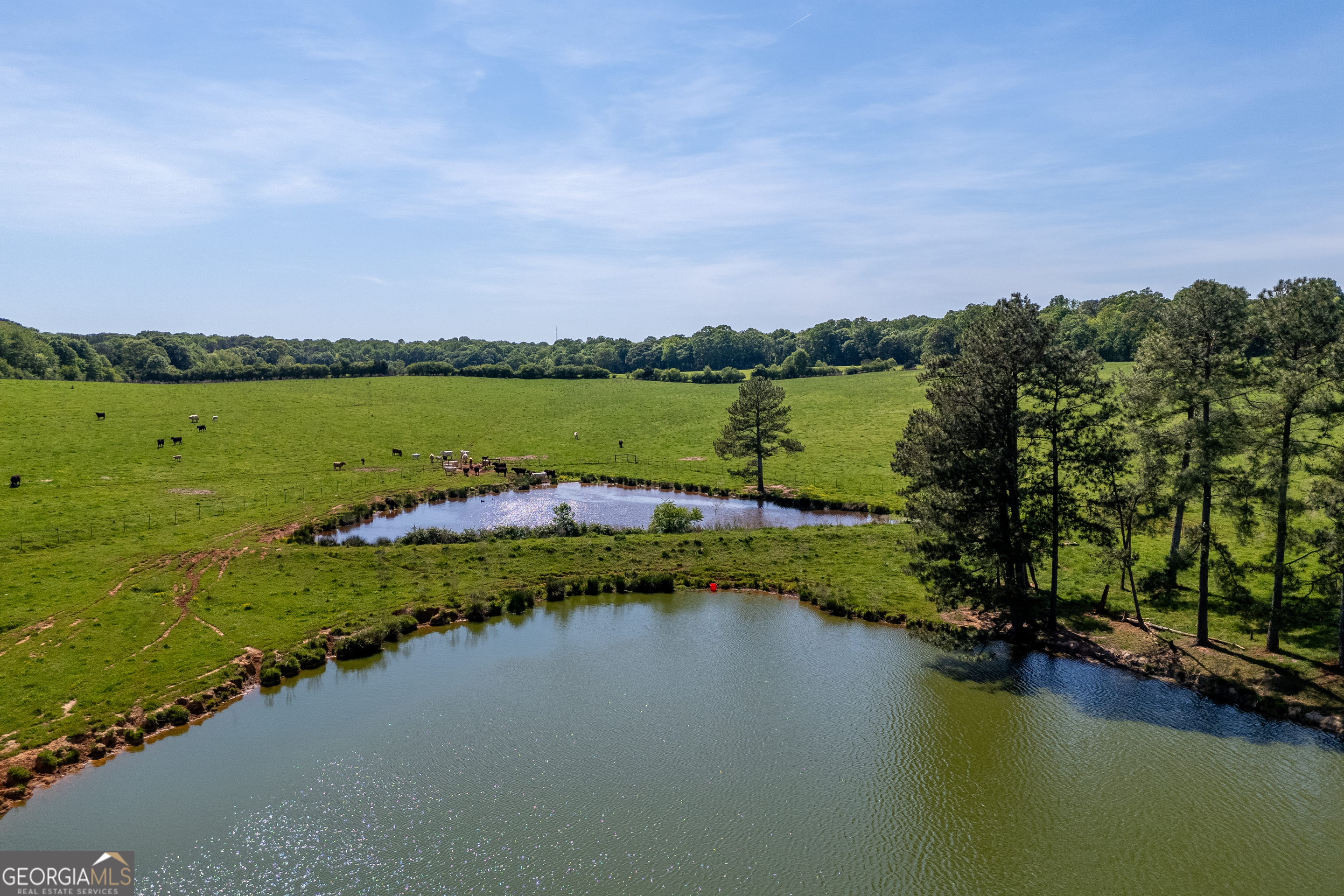 Carnesville, Georgia 30521, United States, ,Land,Active,12204