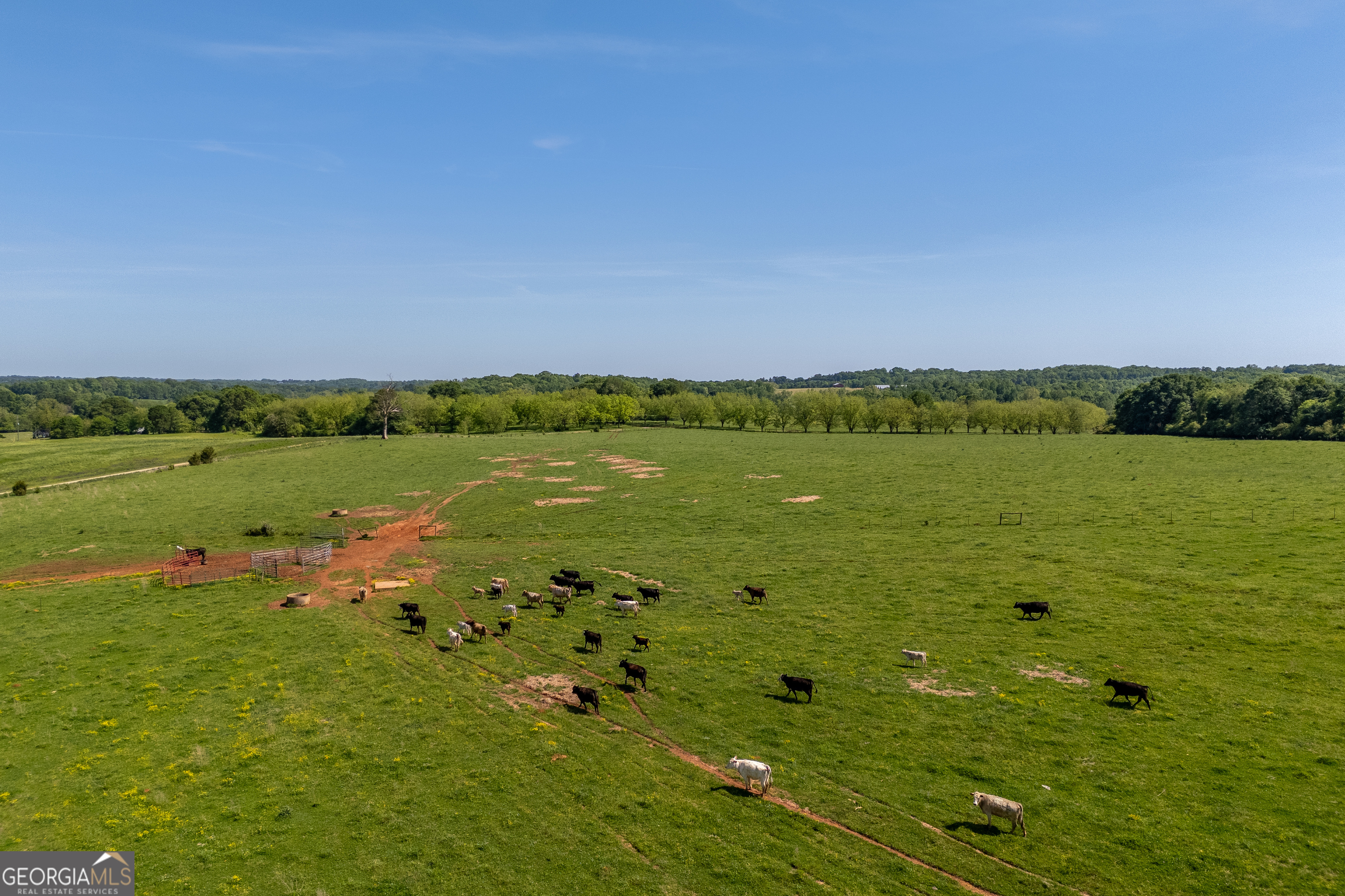 Carnesville, Georgia 30521, United States, ,Land,Active,12204