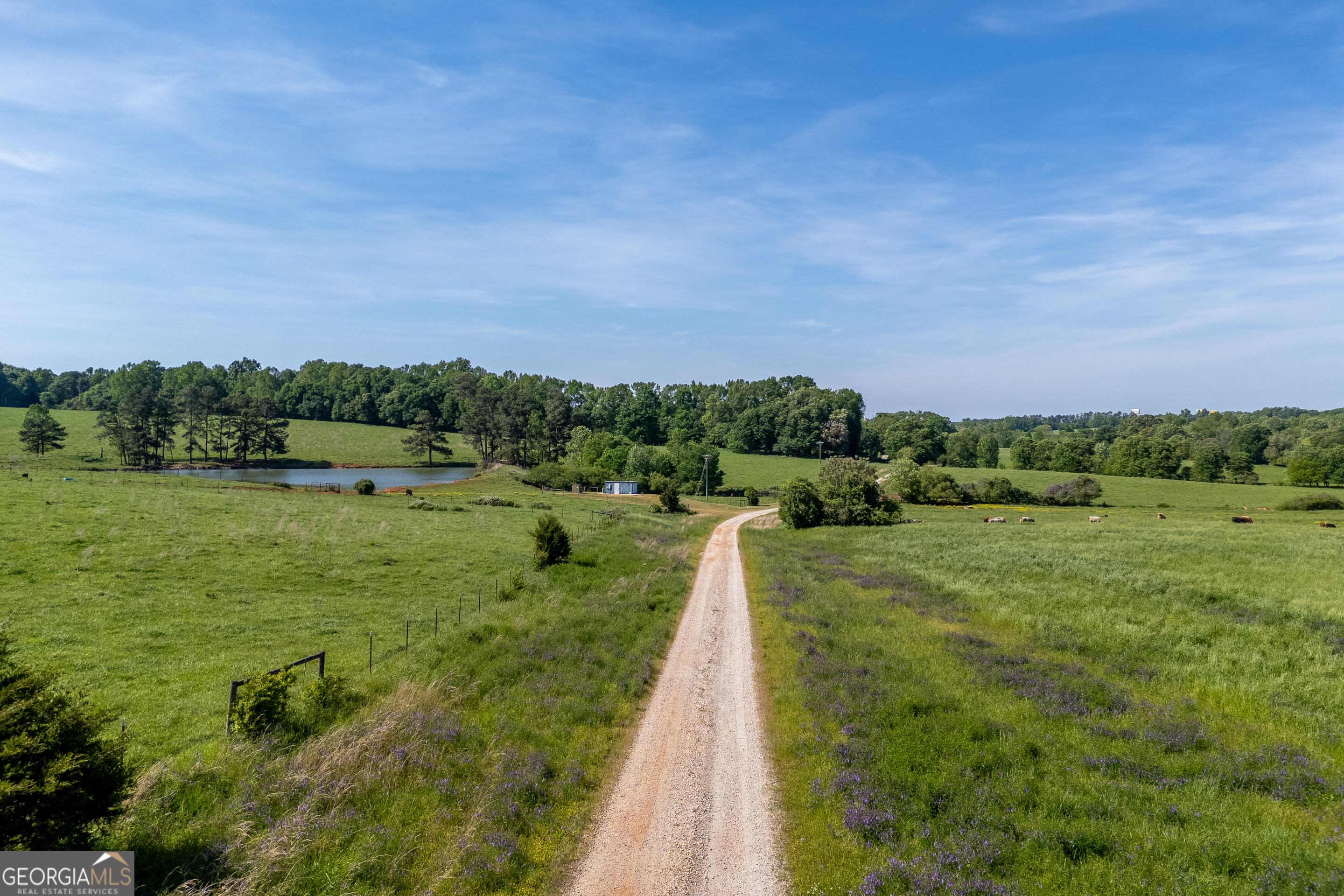 Carnesville, Georgia 30521, United States, ,Land,Active,12204