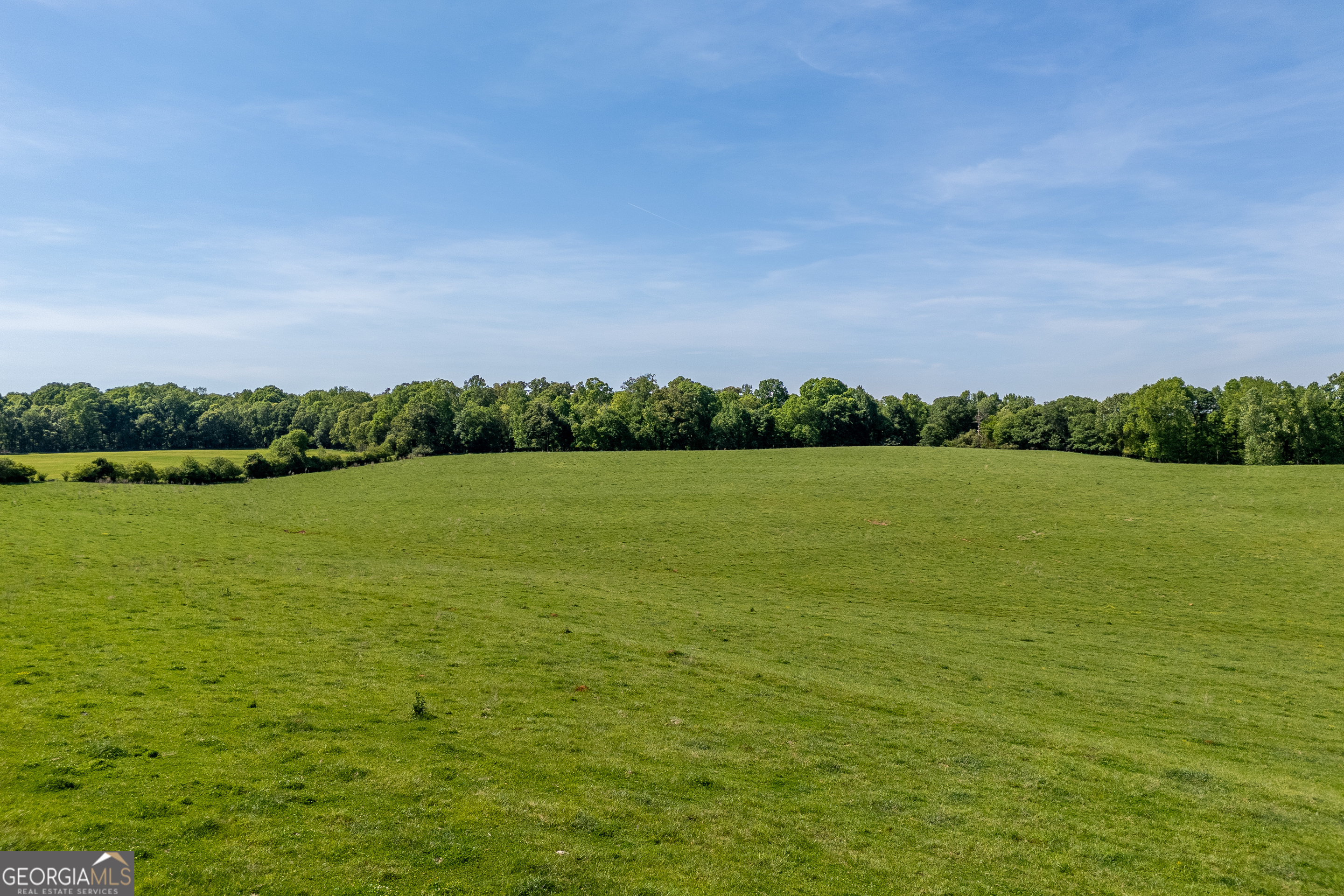 Carnesville, Georgia 30521, United States, ,Land,Active,12204