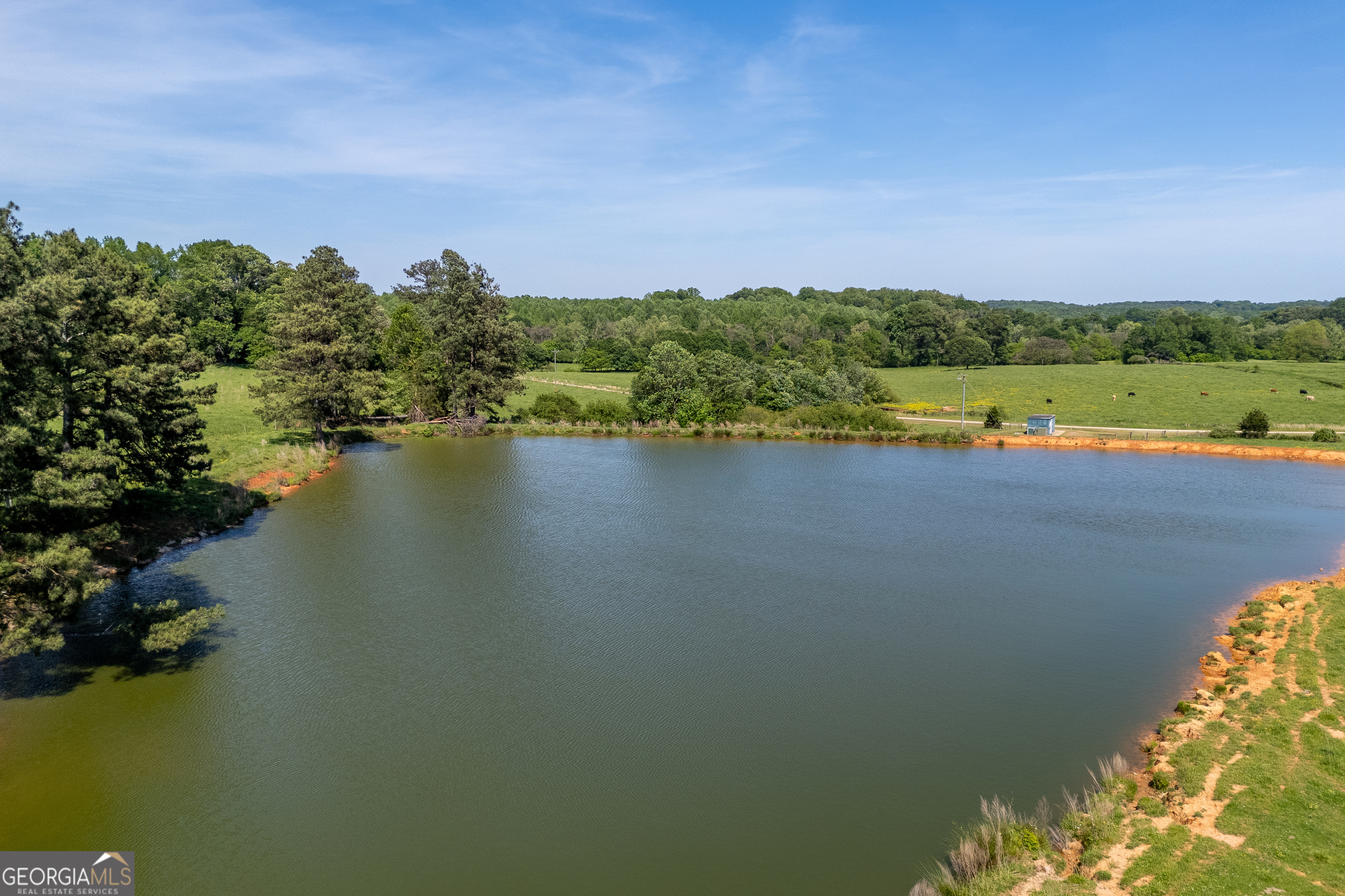 Carnesville, Georgia 30521, United States, ,Land,Active,12204