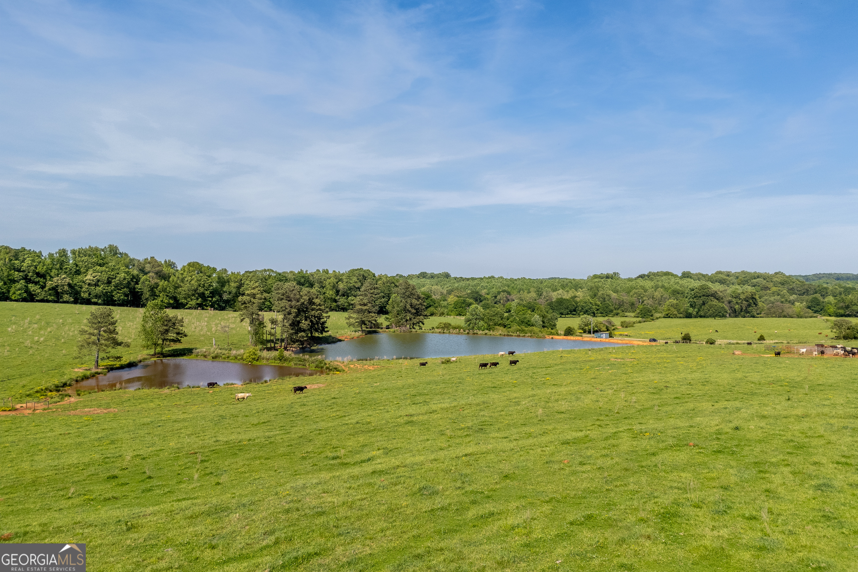 Carnesville, Georgia 30521, United States, ,Land,Active,12204