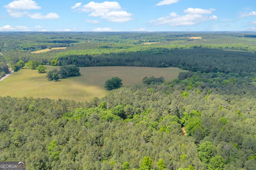 Photo of LOT D 0 Pitts Chapel Road, Monticello, GA 31064 (MLS # 10766134)